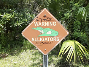 be aware of alligators at lowry park